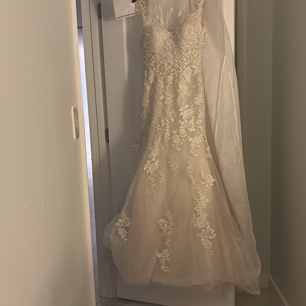 Beautiful wedding dress